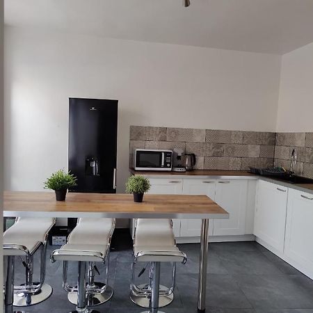 Le Purple, Appartement De Standing En Hypercentre Sarreguemines Eksteriør billede
