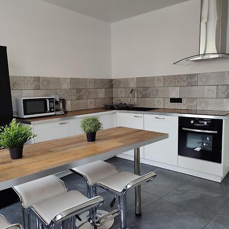 Le Purple, Appartement De Standing En Hypercentre Sarreguemines Eksteriør billede
