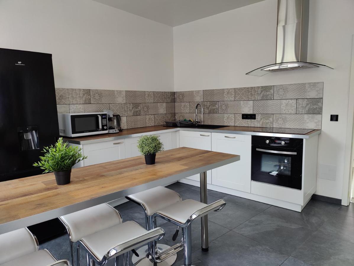 Le Purple, Appartement De Standing En Hypercentre Sarreguemines Eksteriør billede