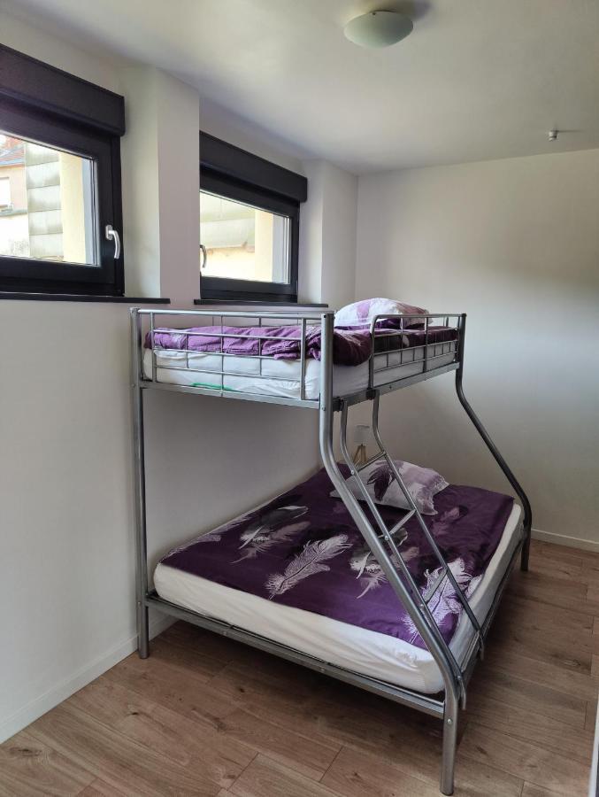 Le Purple, Appartement De Standing En Hypercentre Sarreguemines Eksteriør billede