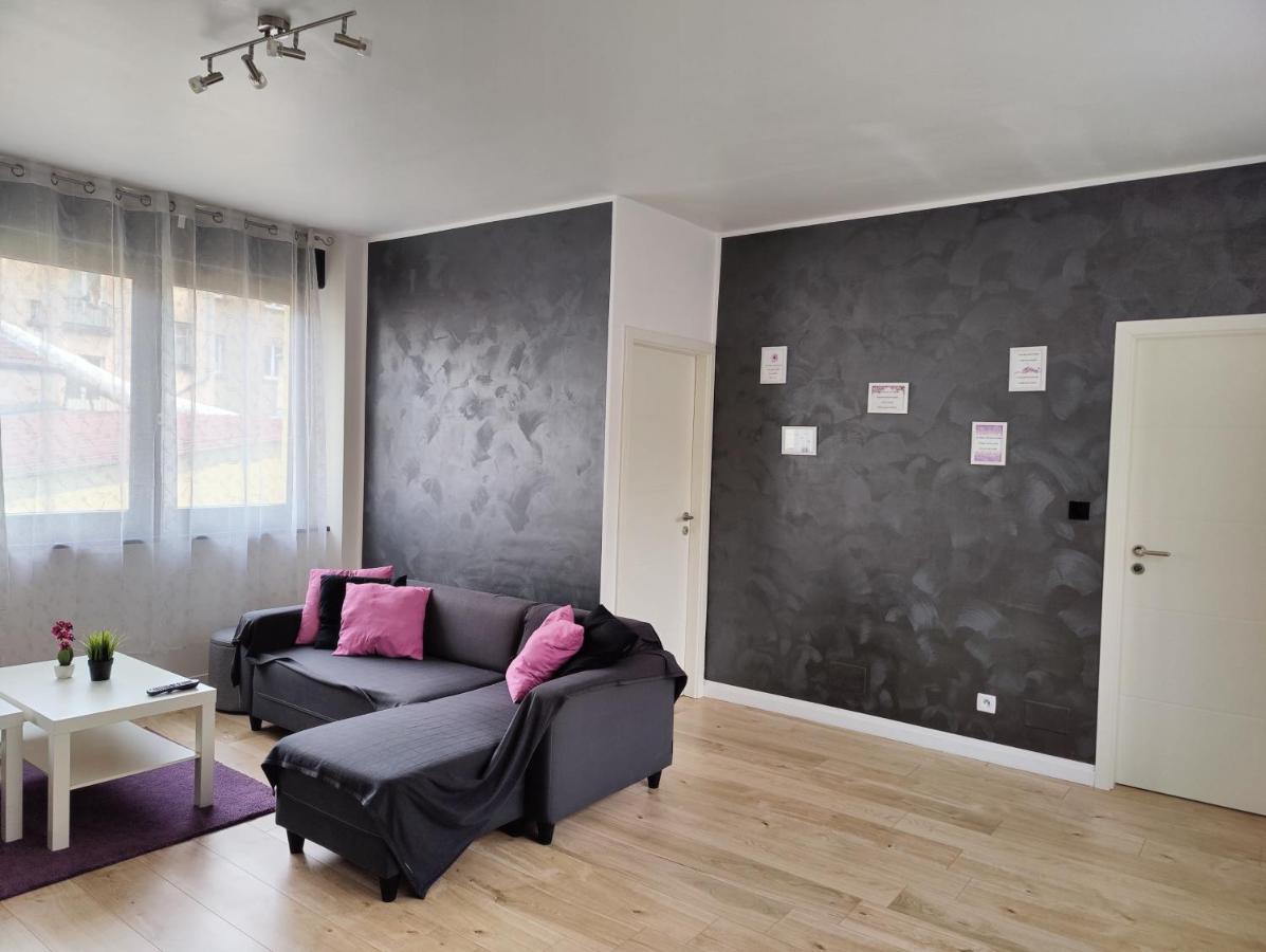 Le Purple, Appartement De Standing En Hypercentre Sarreguemines Eksteriør billede